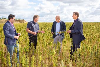 Foto (v.l.n.r.): Christoph March, Dietmar Bendix, Marcel Schmidt und Matthias Deus auf dem Hanffeld. Quelle: Rene Weimer